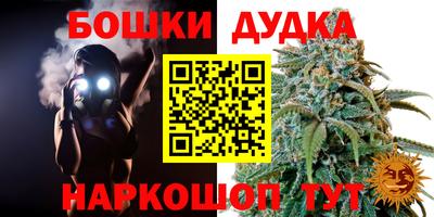гидра Краснокаменск
