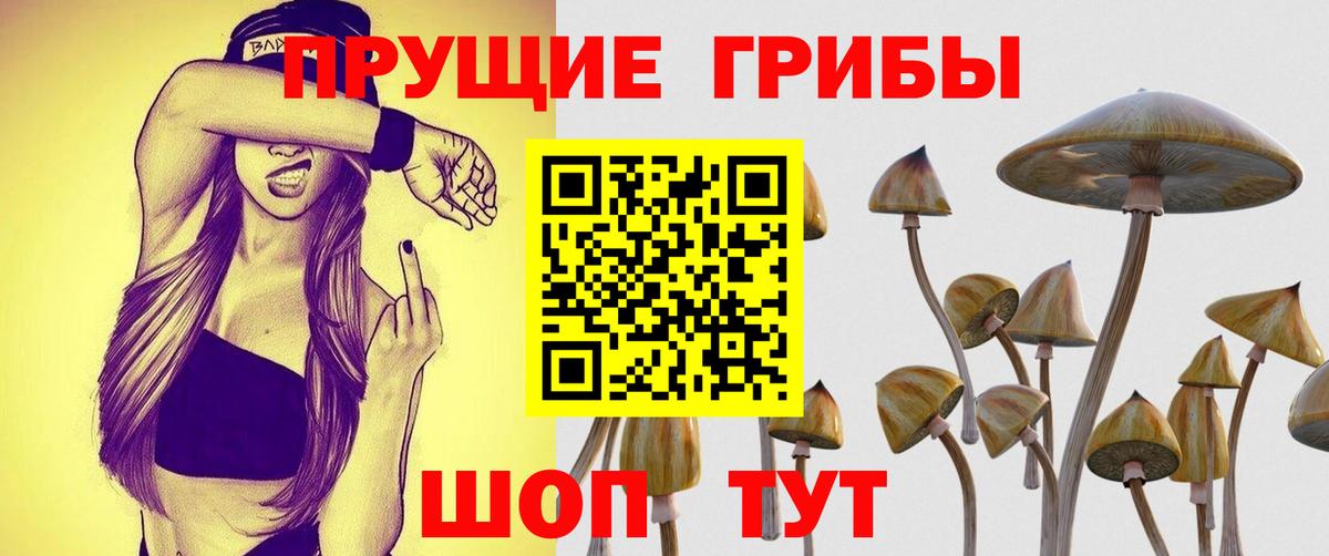 Воткинск  наркота  Вход с VPN  Псилоцибиновые грибы Magic Shrooms 
